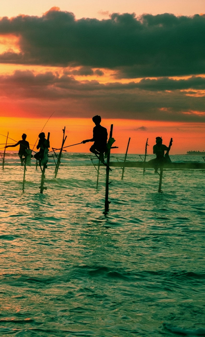Traditional stilt fishermen at sunset on Sri Lanka's southern coast